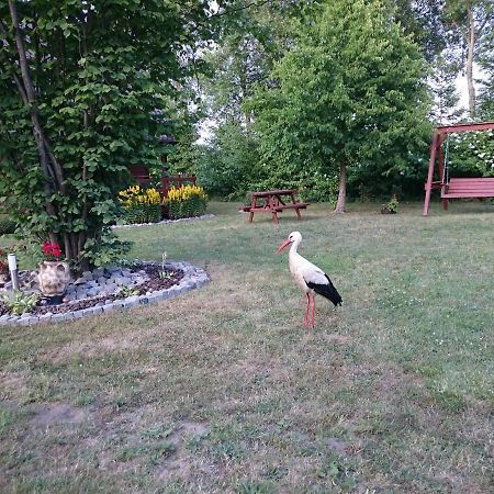 Agroturystyka I Domki Zacisze Jarosławiec Exterior foto